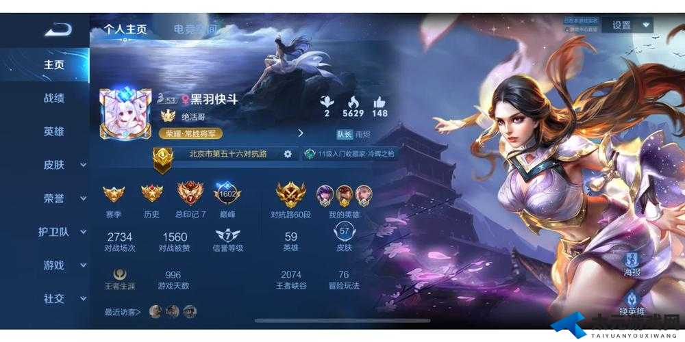 王者荣耀战队赛荣誉勋章,解锁荣耀之路